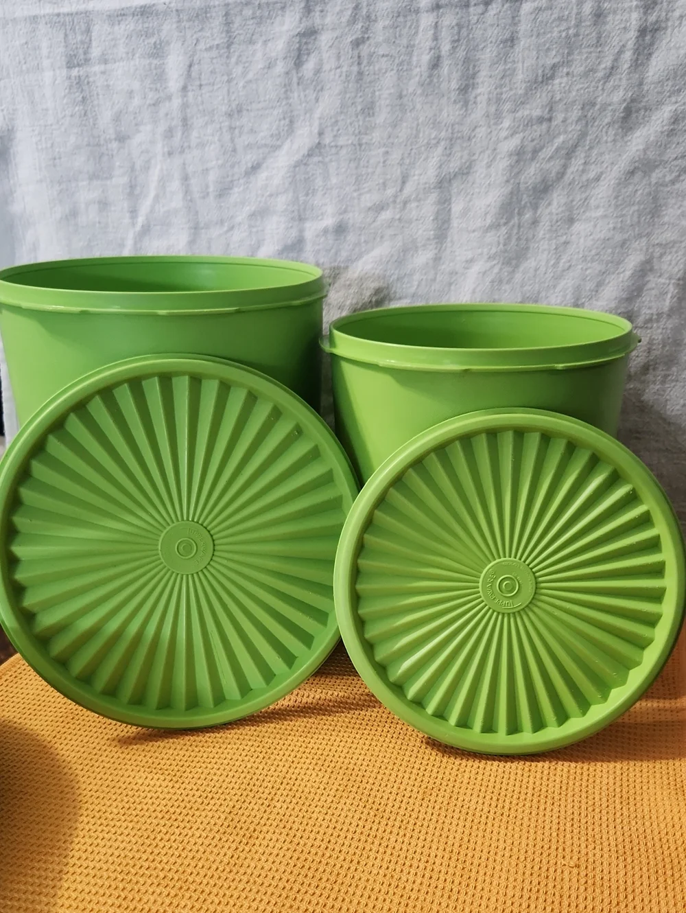 2 Tupperware containers 1 steamer